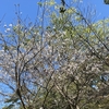 10月18日　あっという間の4日間