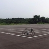朝の涼しいうちに。