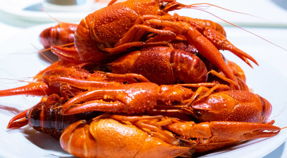 IKEAでザリガニ食べ放題パーティー＝「ザリパ」を皆でワイワイやってみたら楽しすぎた