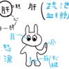 中医学入門⑭　五臓六腑について～その２　肝と胆のはたらき