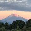 今朝の景色