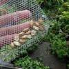 そろそろハンドパンご紹介ネタも尽きる
