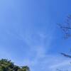 中学三年生の夏。部活の引退と、受験勉強の始まり