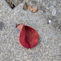 2拠点生活