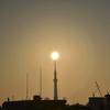 🌞完璧な太陽とスカイツリー！
