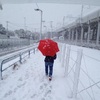  大雪の１戦、強豪の大胆な奇策に沈む…【Ｆリーグ第25節】浦安 vs 浜松
