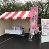 【Past Events】さくら草祭り-1　2018年4月15日