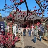 【上野・寛永寺_2】天海は 上野の生みの 親だよね｜60歳からの御朱印めぐり〔076/541〕 