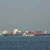 NYK FUSHIMI