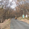 山歩きと宇都宮シクロクロス