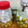  梅つけたら