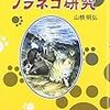 わたしのノラネコ研究