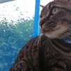 【猫兎猫】コニーちゃんありがとう