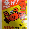 オオズワイガニが豊漁なんだそうです。
