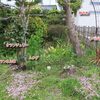 一日しとしとと雨が