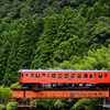 【いすみ鉄道】キハ52 125号機。