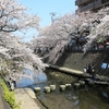 写真いろいろ　309　弘明寺～井土ヶ谷、日吉～武蔵小杉