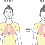 Vol.3　９割はコアの主役である横隔膜が機能不全?!――呼吸パターンとコアの安定性