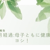 1年と半年のブログ報告｜母子ともに健康なのでヨシ！
