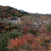 箱根宮ノ下の紅葉