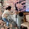 桜の飾りつけ