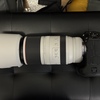 この時期に敢えてCanon「EOS R3」に突入した話⑲〜「EOS R3 ＋ RF100-500mm F4.5-7.1 L IS USM」の限界も見えた〜