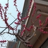 今日の日中は曇りそして小雨？気温早朝１２℃、日中は２０℃！