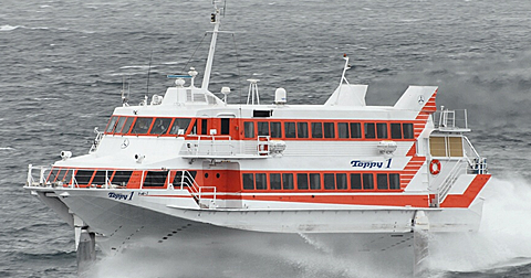 たね やく こうそく せん