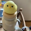 声
