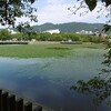 シールズ関西女子大生のスピーチ（戦後教育の成果）と教科書問題