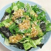 しらすと海苔のレタスサラダを作ってみた