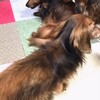 ちょいと愚痴ってもいいですよね🥺