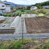 実家の畑で農作業でした