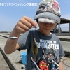 【簡単仕掛け】ちょい投げのススメ