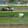 浜ちゃん日記    お天道様と自然の恵み