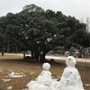 雨の公園 雪だるま