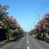 守谷・松ヶ丘の直線道路と夏の澄んだ空