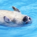 ふんわりな毎日