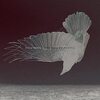 Katatonia『The Fall of Hearts』('16)