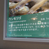 2015/5/20　外国の友達に説明しよう