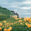【佐渡島】金色に包まれる奇跡の絶景！大野亀〜神秘の花が彩る天空のパワースポット