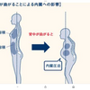 内臓の不調も姿勢で治る理屈