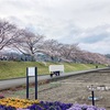 【羽村】多摩川沿いで花と水を観察