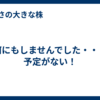 何にもしませんでした・・・予定がない！