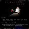 No.2206 / 本日はフラメンコ・ライヴとNancy Live！です。