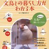 文鳥との暮らし方がわかる本