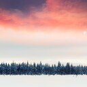 檸檬のように、青空のように、夕暮れのように    