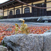 南禅寺から哲学の道　KYOTO⑦