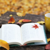 読書の秋ということで、おすすめの本の紹介