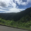 三頭山登ってきた